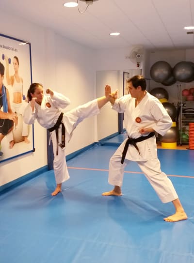 Gimnasio Budotai - karate in Madrid