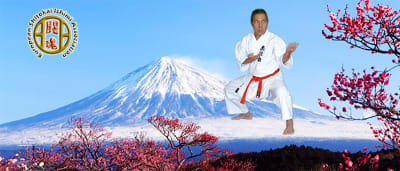 European Shitokai Ishimi Association - karate in Madrid