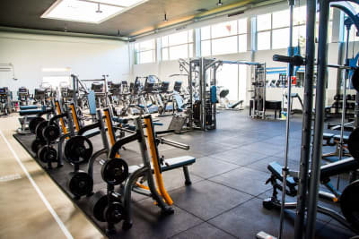 Sportia - boxeo in Valladolid