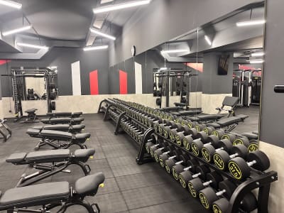 Synergym Plasencia - gimnasia in Plasencia