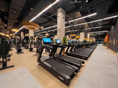 Areafit - natacion in Murcia