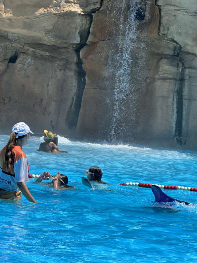 Glu Sirenas - natacion in València