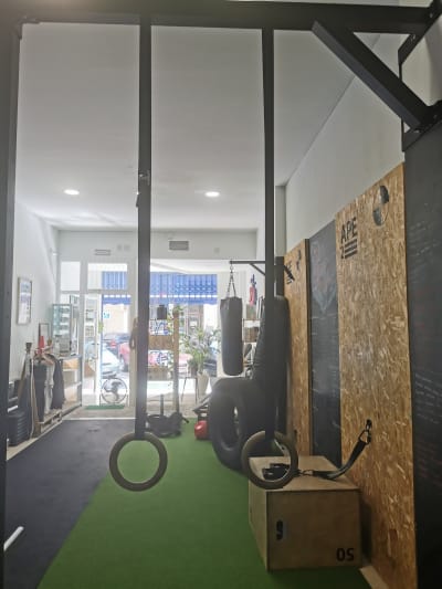 School monkey - gimnasia in Gandia