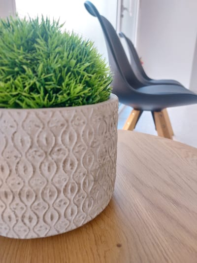 ENSO Centro de Actividades Dirigidas - Alicante - karate in Alicante (Alacant)