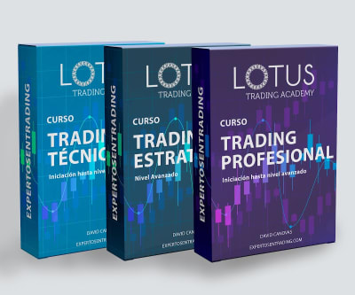 Academia de Trading y Bolsa - Lotus Trading Academy - gimnasia in Alicante (Alacant)