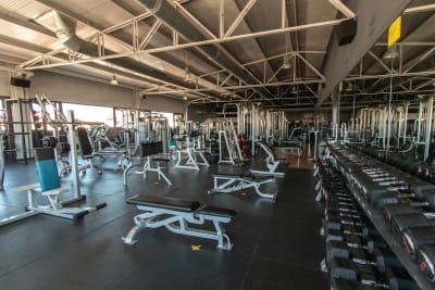 Gym Noray - gimnasia in Santa Pola
