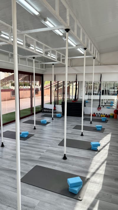 Estudio Pole dance & fitness - gimnasia in Alicante (Alacant)