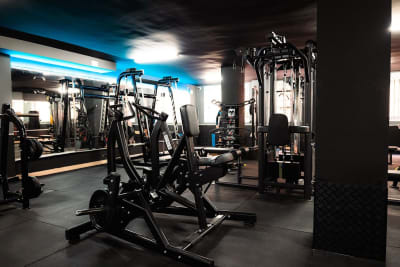 Wolf gym - gimnasia in Vila-real