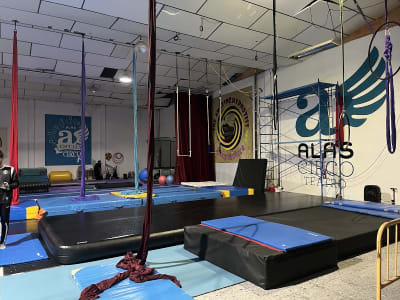 Pirueta Centro Acrobático y de Desarrollo Artístico - gimnasia in Córdoba