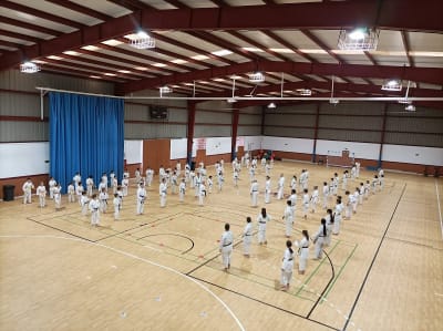 cd karate goju ryu nsk - karate in San Luis de Sabinillas