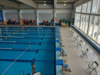 Pdm - natacion in Lucena