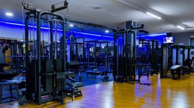 Centro wellnes on - boxeo in Torredelcampo