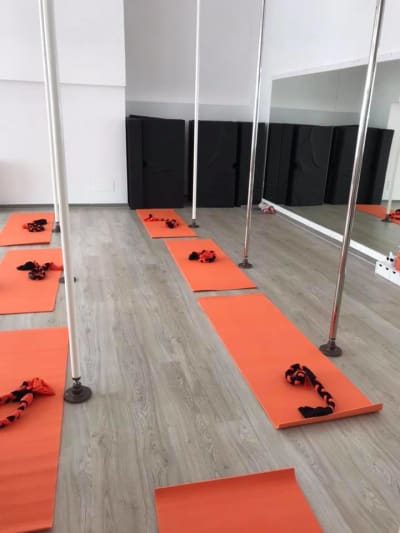 Fly High Mallorca-pole dance, artes aereas, aerial pilates & more! Palma & Inca - gimnasia in Palma