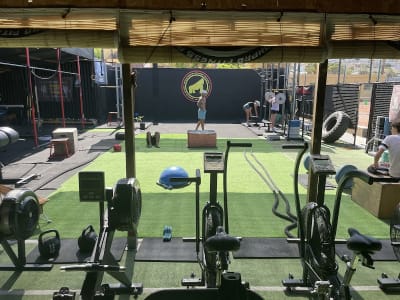 EVOLUTIONPRO FITNESS - tenis in Fañabé