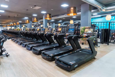 Areafit Arrecife - crossfit in Arrecife