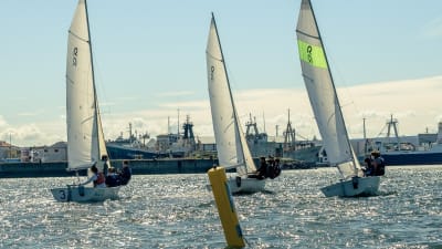 Sporting Clube de Aveiro - Sailing Academy - vela in Aveiro