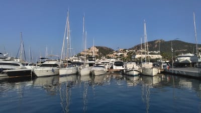 Club de vela (5012) - vela in Port d'Andratx