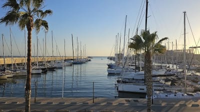 Club de Vela Badalona - vela in Badalona
