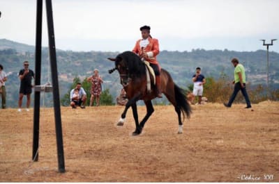 Hípica Zahori - vela in Falces