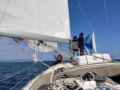 BDA Sailing School - vela in Barcelona