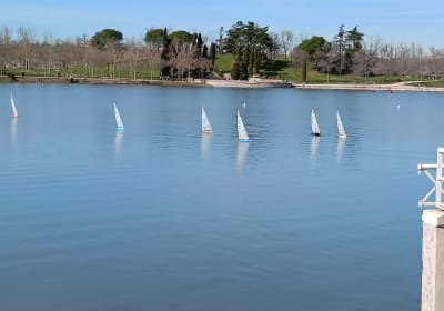 Competición de vela RC - vela in Alcorcón