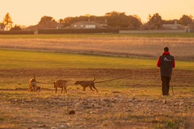 Club canino Baucan - vela in Salamanca