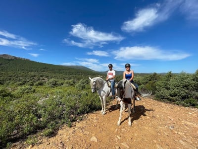 Club Hípico San Juan - vela in Navahermosa