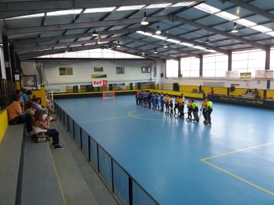 Paço do Rei Hockey Club - hockey in Vila Nova de Gaia