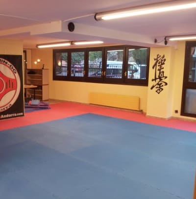 Kyokushin-Do Arts Marcials - karate in Andorra la Vella