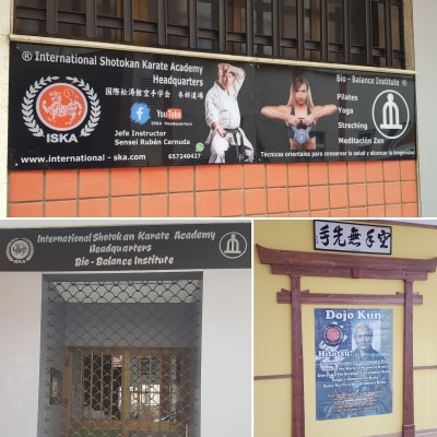 International Shotokan Karate Academy - Honbu Dojo - karate in Gijón