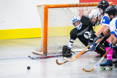 MSK Hockey Mungia - hockey in Mungia