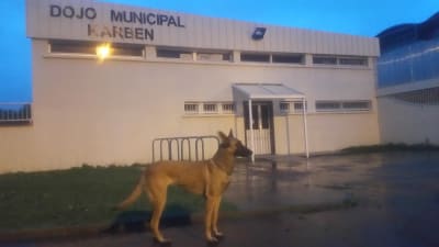 Dojo cathy arnaud - hockey in Ramonville-Saint-Agne