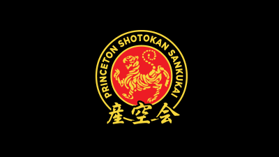 Princeton Shotokan Sankukai - hockey in Princeton