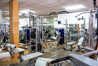 SHOTOKAN Rinconada - karate in San José de la Rinconada