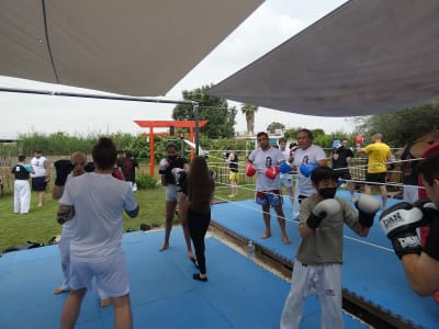 SUMMER TRAINING CAMP KYOKUSHIN CASTELLÓN - karate in Almazora