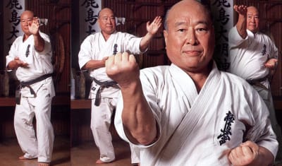 international Kyokushin Rengukai Organization - karate in El Puerto de Santa María