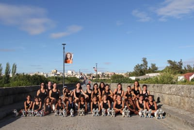 Club De Patinaje Artístico Perseidas - hockey in Mérida
