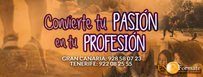 ENFORMATE - Centro de Estudios Deportivos - fútbol in Las Palmas de Gran Canaria