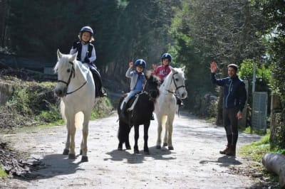 Centro Ecuestre Galiocio - hipica 