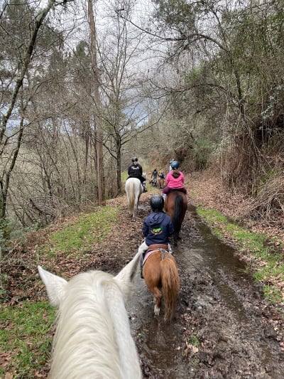 C.D. El Ranchito Ecuestre - hipica in Torno