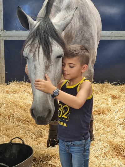 Hipica Amazonas Ganadería Santos Pereira - hipica in A Insua