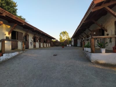 Asociación de Cabalistas "O Mundil" - hipica in Cartelle