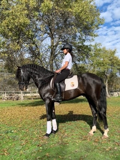 Centro Ecuestre MS - hipica in Guadarrama