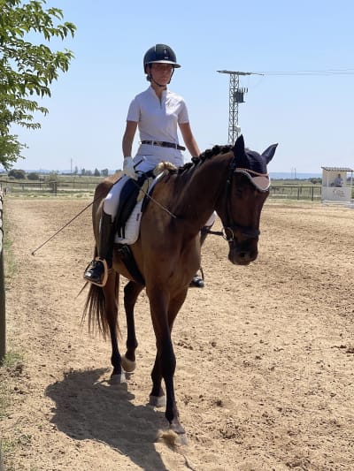 Centro Ecuestre Antares - hipica in Talavera de la Reina