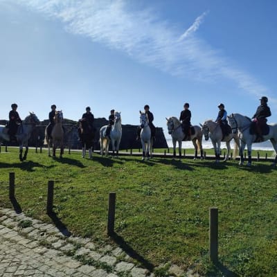VIANAEQUESTRE - Associação Hípica de Viana do Castelo - hipica in Viana do Castelo