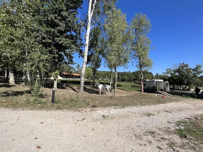 Centro Hípico de Pedras Salgadas - hipica 
