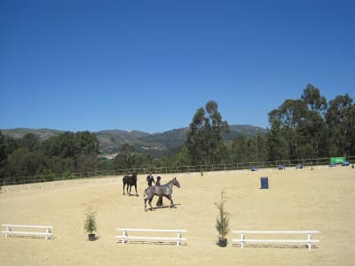 Centro Hípico de Cabeceiras de Basto - hipica in Cabeceiras de Basto