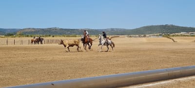 Centro ecuestre Casasola - hipica 