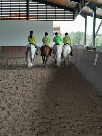 Centro Hípico de Grijó - Planeta Equestre - hipica 