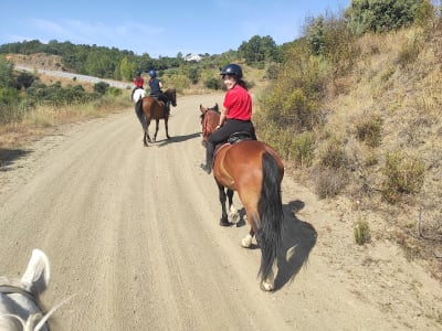Associação Equestre de Bragança - hipica 